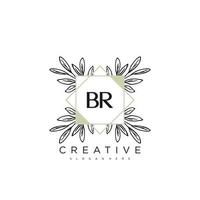 BR Initial Letter Flower Logo Template Vector premium vector art