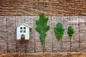 Toy House and green oak leaves on wooden background photo