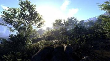 Rich natural forest area, streams, sky, mountains and various plants 3D rendering photo