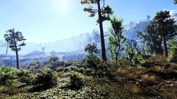 Rich natural forest area, streams, sky, mountains and various plants 3D rendering photo