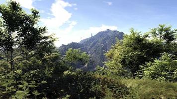 Rich natural forest area, streams, sky, mountains and various plants 3D rendering photo