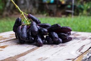 uvas de bruja, gotas de luna, uvas o zafiros dulces recogidos del jardín frescos y nuevos. es una uva sin pepitas que es dulce y deliciosa. foto