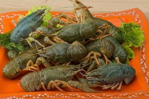 Raw Crayfish on the plate and wooden background photo