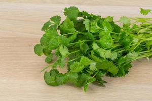 Coriander leaves on wooden background photo