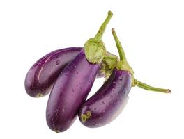 Eggplant on white background photo