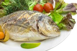 dorado a la parrilla en el plato y fondo blanco foto