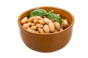 Tinned bean in a bowl on white background photo