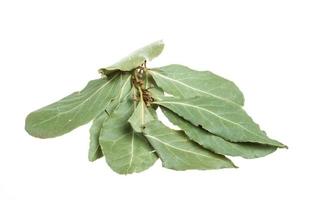 Aromatic Bay leaves isolated over white background