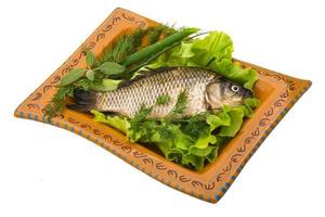 Crucian on the plate and white background photo