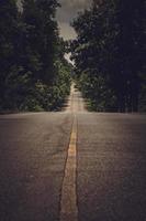 The asphalt road on both sides of the road was filled with big trees. photo