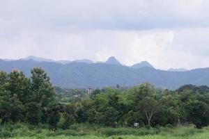 Green rice field with mountain background under cloudy sky after rain in rainy season, panoramic view rice field. photo