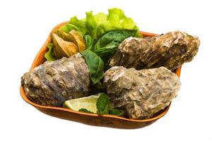 Fresh oyster in a bowl on white background photo