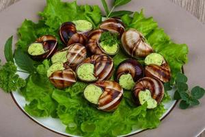 Escargot on the plate and wooden background photo