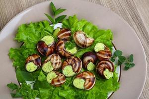 Escargot on the plate and wooden background photo