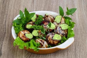 Escargot in a bowl on wooden background photo