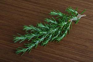 Rosemary branch on wooden background photo