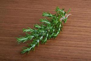 Rosemary branch on wooden background photo