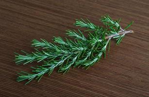 Rosemary branch on wooden background photo