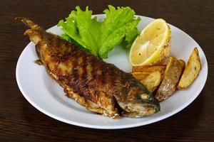 Grilled trout on the plate and wooden background photo