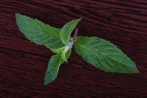 hojas de menta sobre fondo de madera foto