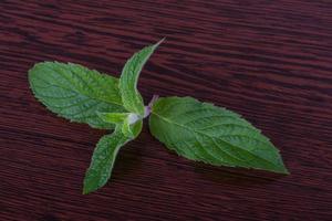 Mint leaves on wooden background photo