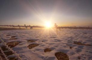 paisaje de invierno durante la puesta de sol foto