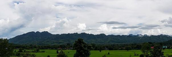 campo de arroz verde con fondo de montaña bajo un cielo nublado después de la lluvia en temporada de lluvias, vista panorámica del campo de arroz. foto