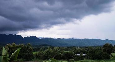 Green rice field with mountain background under cloudy sky after rain in rainy season, panoramic view rice field. photo