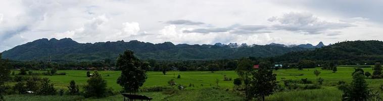 campo de arroz verde con fondo de montaña bajo un cielo nublado después de la lluvia en temporada de lluvias, vista panorámica del campo de arroz. foto