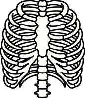 traditional tattoo of a rib cage vector