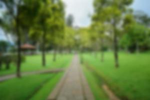 Blur park garden tree in nature background, blurry green in summer background photo