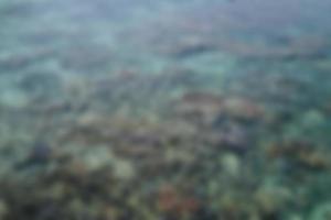Blurred view an underwater tropical coral reef scene below the water surface. Blurred background photo