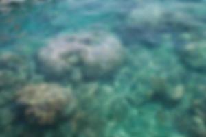 Blurred view an underwater tropical coral reef scene below the water surface. Blurred background photo