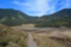 blur view of meadow in summer, with a view of dry grass. Blurred background photo