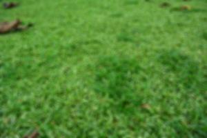 Tea garden view with cloudy clouds. Green nature blured background for your text photo