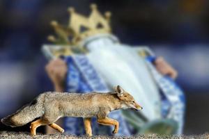 fondo de pantalla del club de fútbol real fox leicester city foto