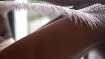 Feather on skin photo