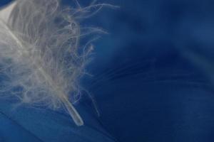 Macro view of one white feather photo