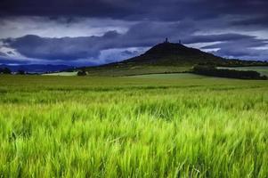 LOoking at grass and mountain photo