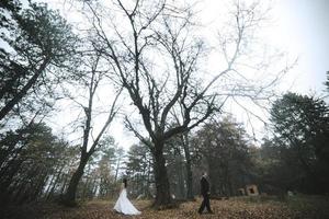 pareja casada al aire libre foto