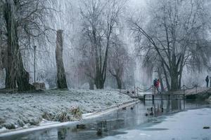 Couple in winter landscape photo