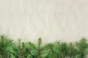 fir branches border on light rustic background, good for christmas backdrop photo