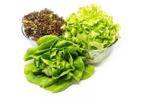 Mix lettuce leaves photo