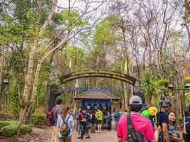 loei.thailand-16 feb 2019.personas desconocidas caminando hasta la cima del parque nacional de la montaña phu kradueng en la ciudad de loei tailandia.parque nacional de la montaña phu kradueng el famoso destino turístico foto