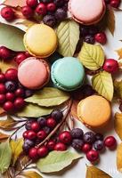 Autumn composition. Backdrop made of autumn berries, autumn berries, macarons. Autumn, fall concept. Flat lay, top view photo