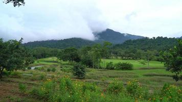 belo campo de golfe com fundo de colina de montanha video