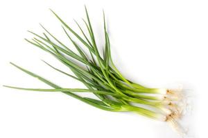 Fresh Spring Onion photo