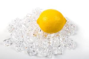 Lemon on ice photo