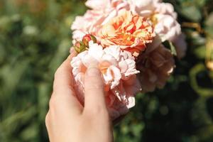 Woman hand holding pink rose flowers in rockery in summer time. Gardener worker cares about flowers in flower garden. Floriculture hobby and flower planting cultivating concept. photo