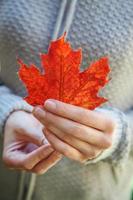 Closeup natural autumn fall view woman hands holding red orange maple leaf on park background. Inspirational nature october or september wallpaper. Change of seasons concept. photo